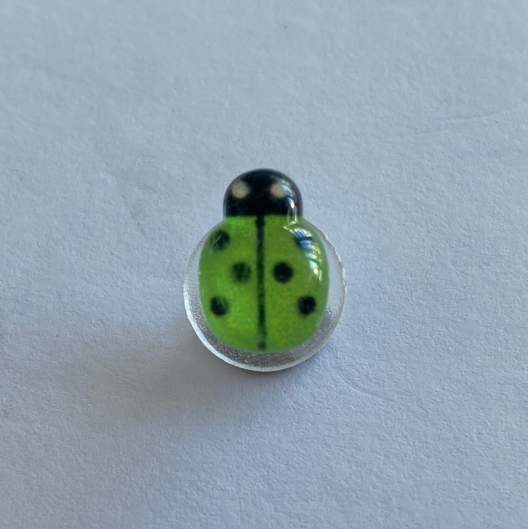 Small Glossy Ladybird - Green
