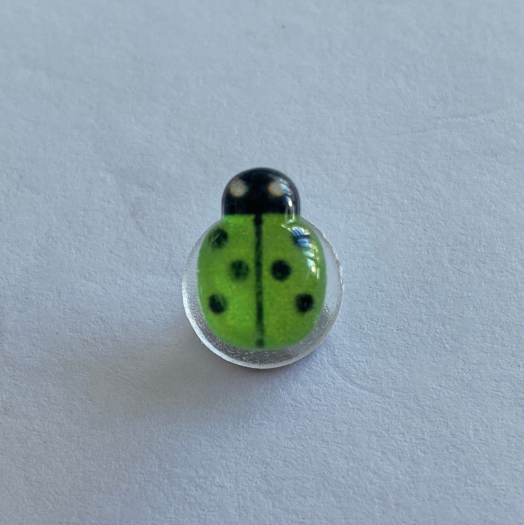 Small Glossy Ladybird - Green