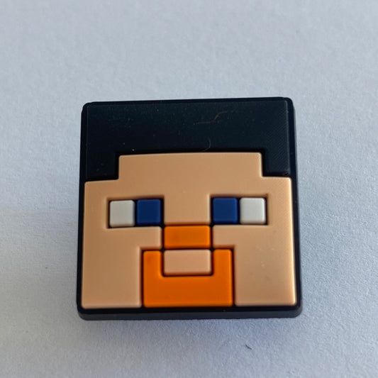 Minecraft Steve - Face Only