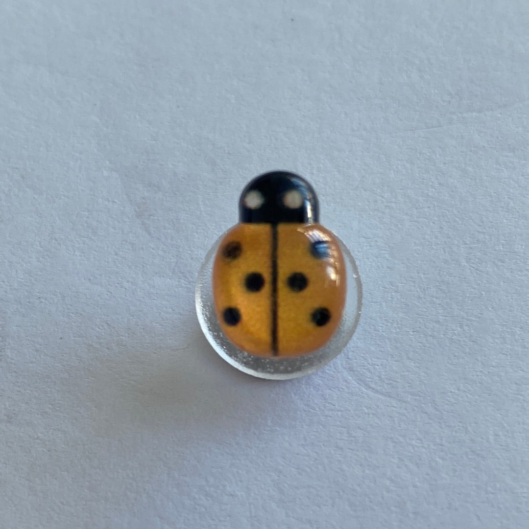 Small Glossy Ladybird - Orange