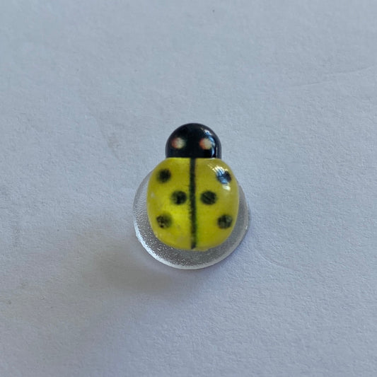 Small Glossy Ladybird - Yellow