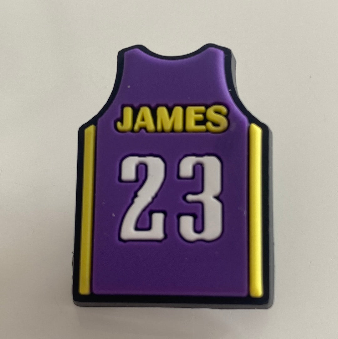 Le Bron James Number 23 Lakers Singlet