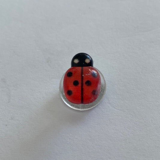 Small Glossy Ladybird - Red